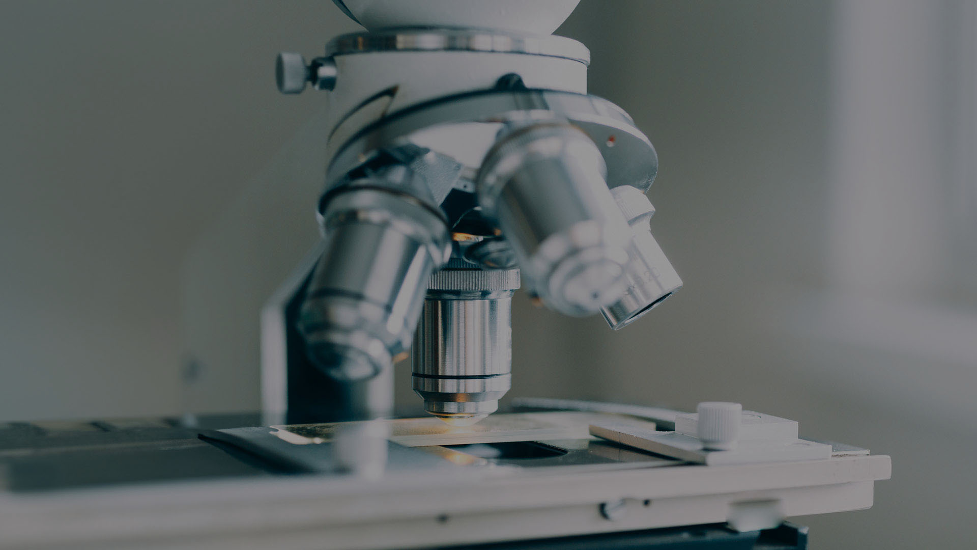 Regulatory-Grade Localization<br />for Life Sciences