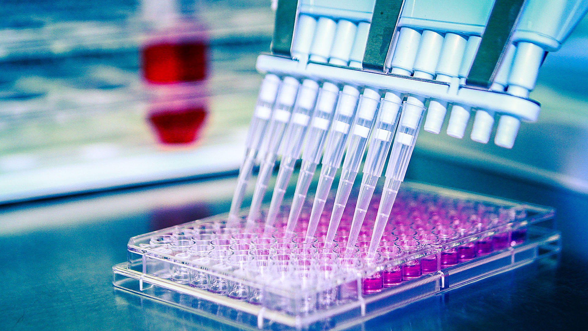 Large-scale localization for a biotechnology organization